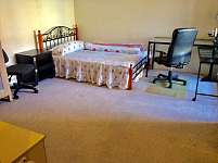 Hurstville 主人房带阳台租2人435电0450136882