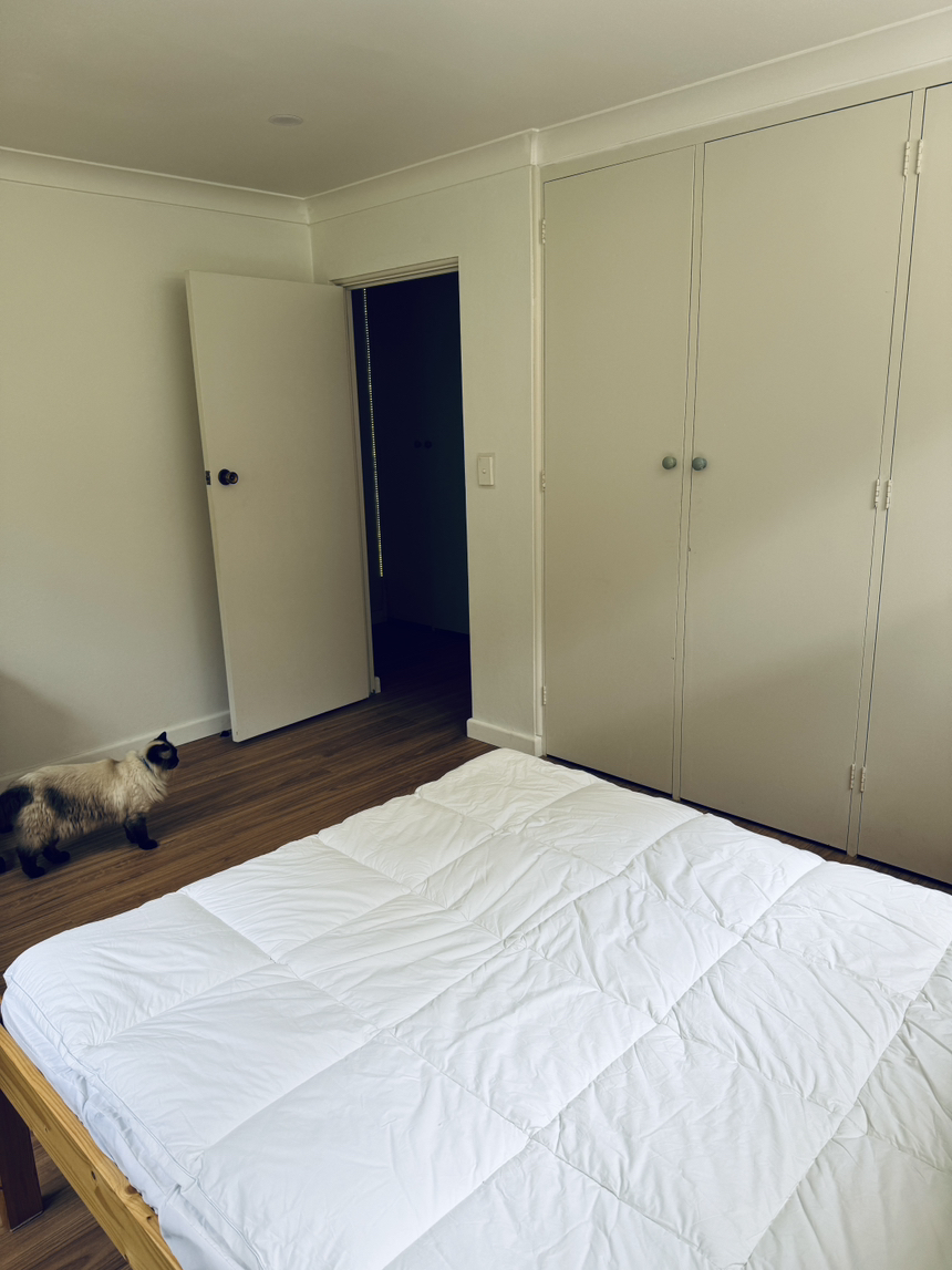 今日悉尼Pennant Hills Pennant hills 出租大房可以使用独立的卫生间 Pennant Hills Pennant hills 出租大房可以使用独立的卫生间