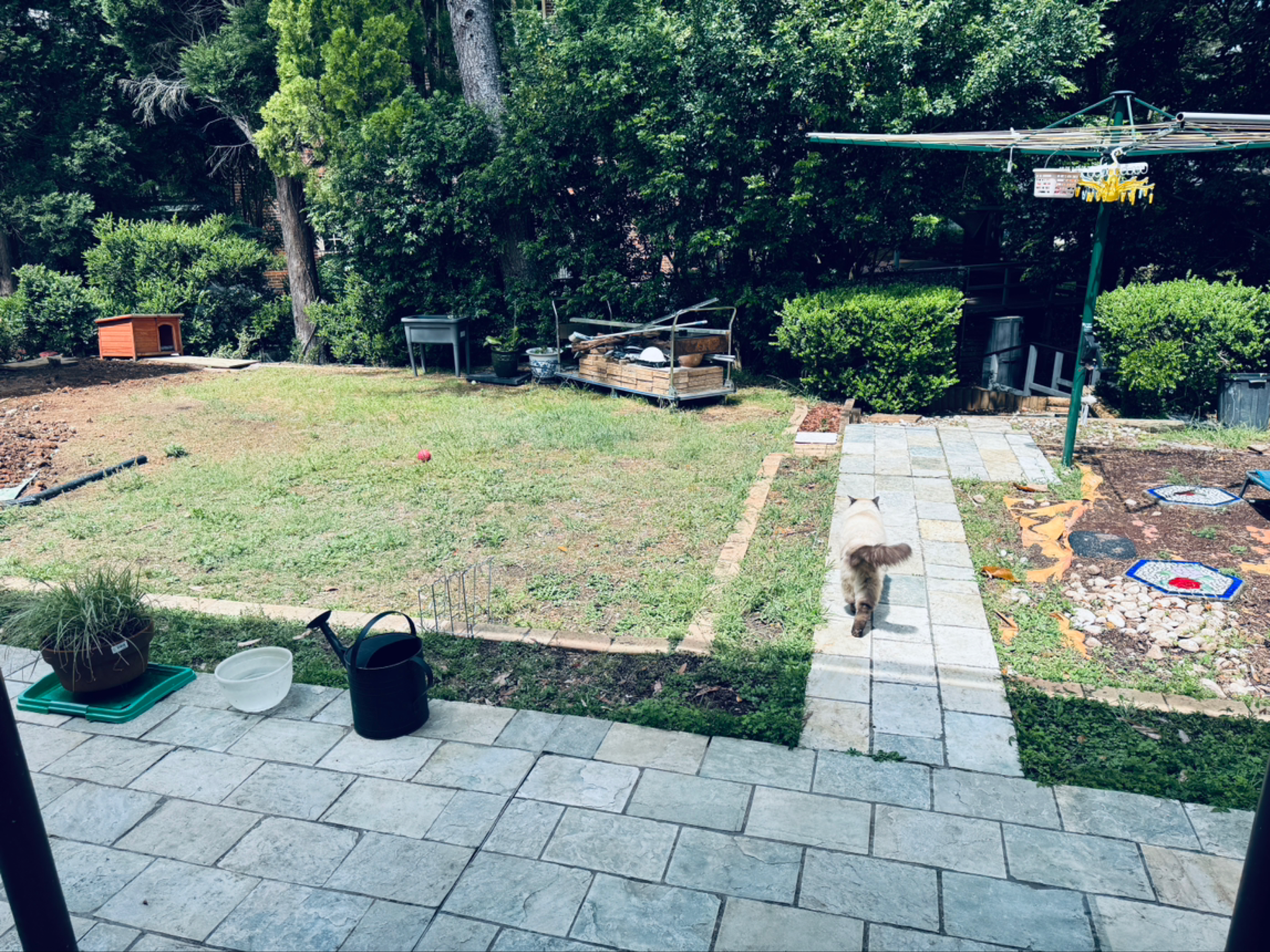 今日悉尼Pennant Hills Pennant hills 出租大房可以使用独立的卫生间 Pennant Hills Pennant hills 出租大房可以使用独立的卫生间