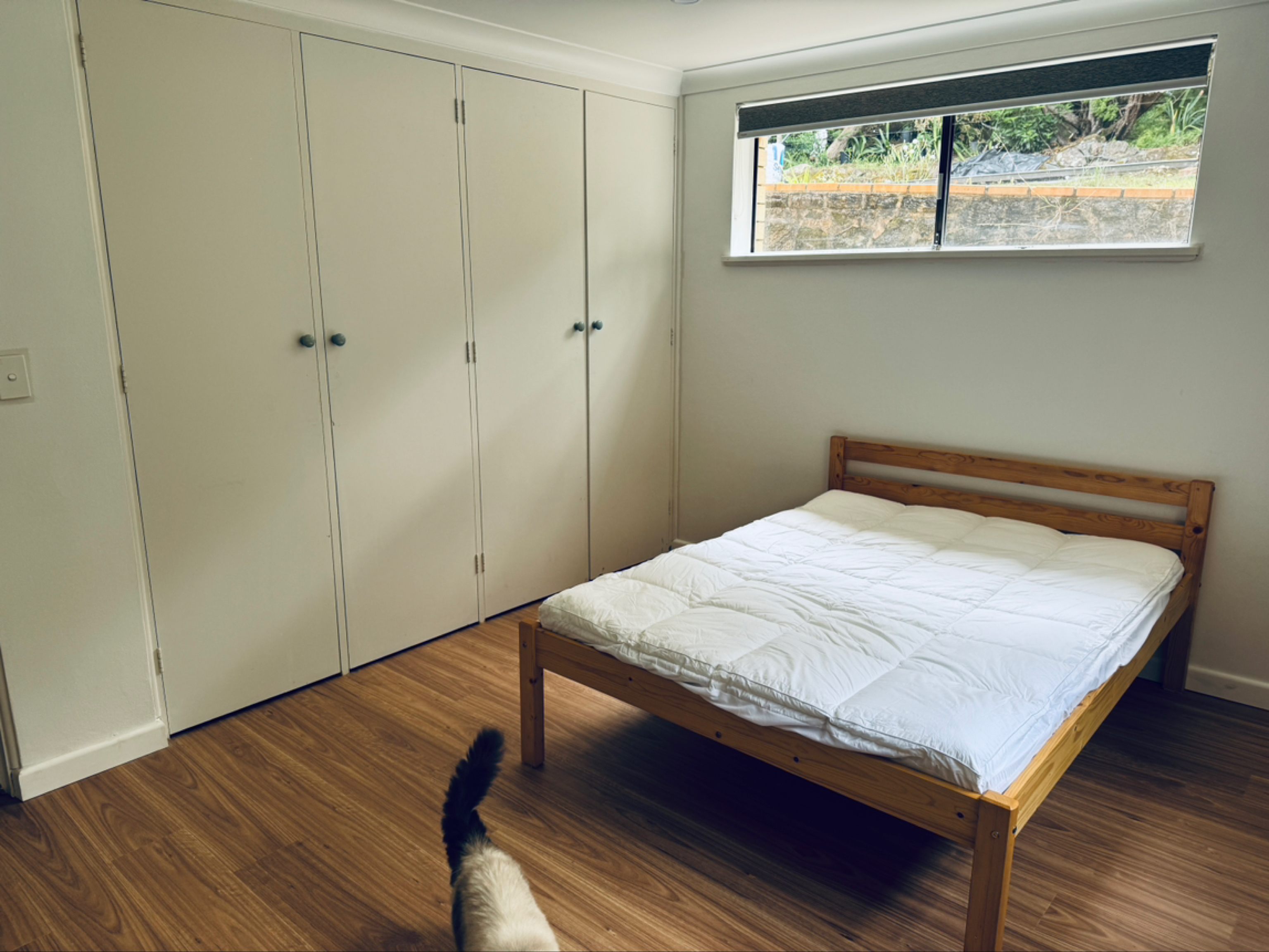 今日悉尼Pennant Hills Pennant hills 出租大房可以使用独立的卫生间 Pennant Hills Pennant hills 出租大房可以使用独立的卫生间