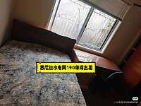 Carlingford       单间195出租随时入住