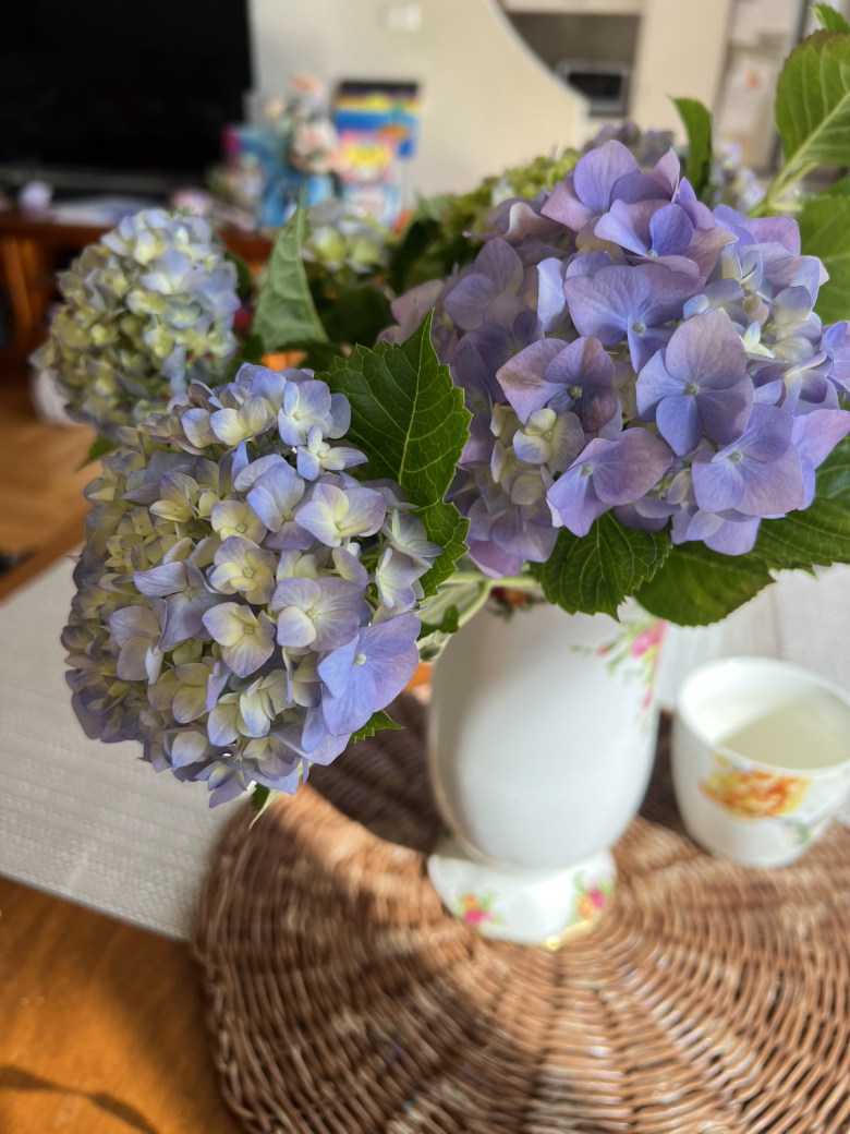 今日悉尼Peakhurst 4bed room big house Peakhurst 4bed room big house