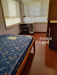 Ashfield  House 向阳单间出租 超级近车站和购物 独立卫生间
