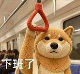 泳往直前