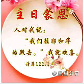 土澳居民天使爱美丽