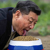 全体中国人的大救星