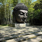 陈志民