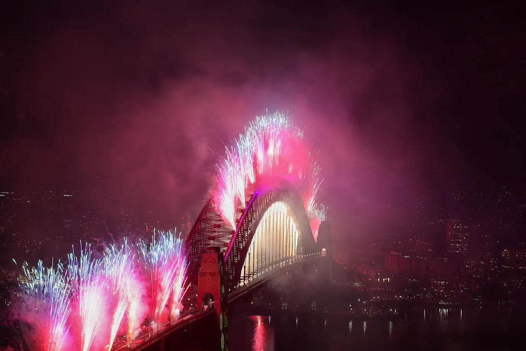新年快乐！百万民众涌上悉尼街头狂欢，万枚烟花闪耀夜空（视频/组图） - 4
