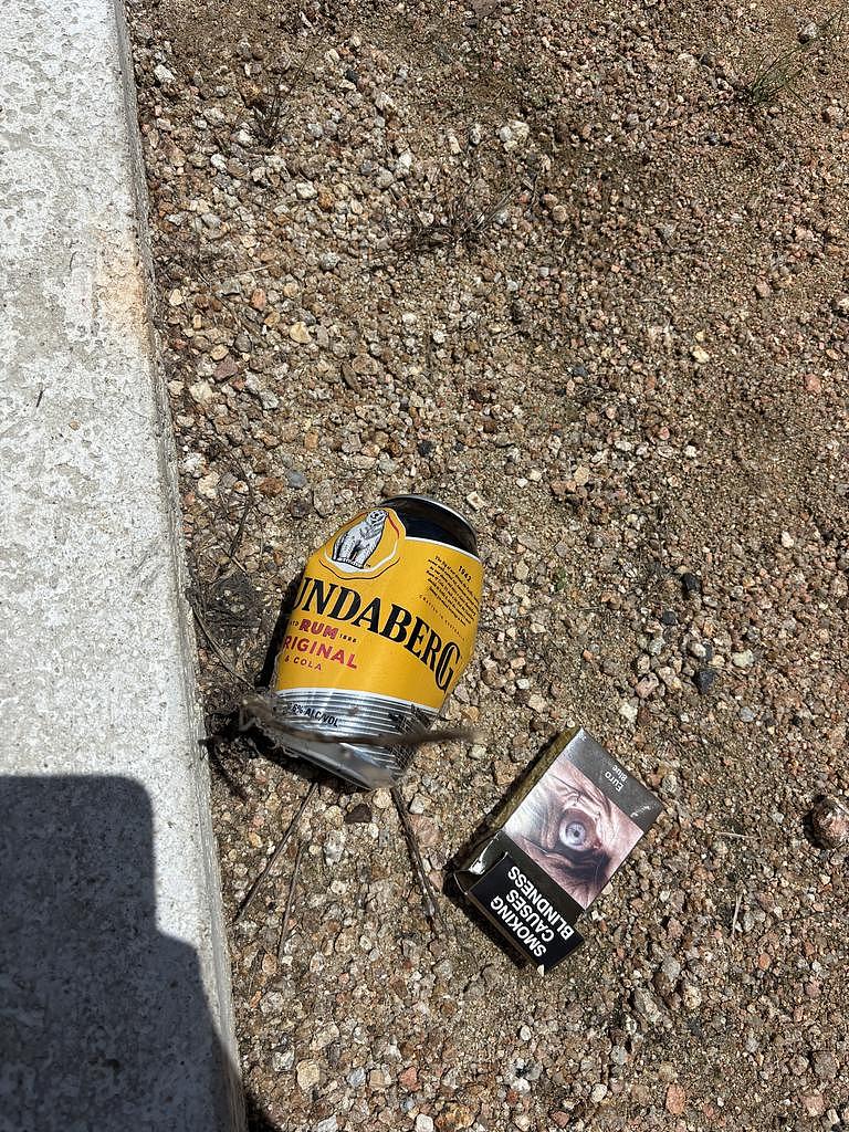 澳洲国宝遭虐待惨死！袋鼠被绑路牌，育儿袋内塞进酒罐，幼崽重伤不治（组图） - 4