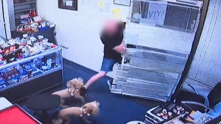 “我当时快疯了！”澳洲患癌店主挥舞大砍刀，硬刚持锤悍匪保住金店 - 1