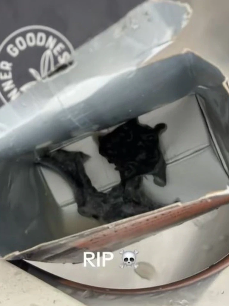 避雷！澳女在Aldi杏仁奶中喝出巨大黑色异物，网友直呼像死蝙蝠（组图） - 5