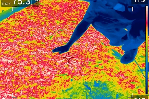 热炸了！悉尼体感温度突破50℃，地面高达75℃（组图） - 3
