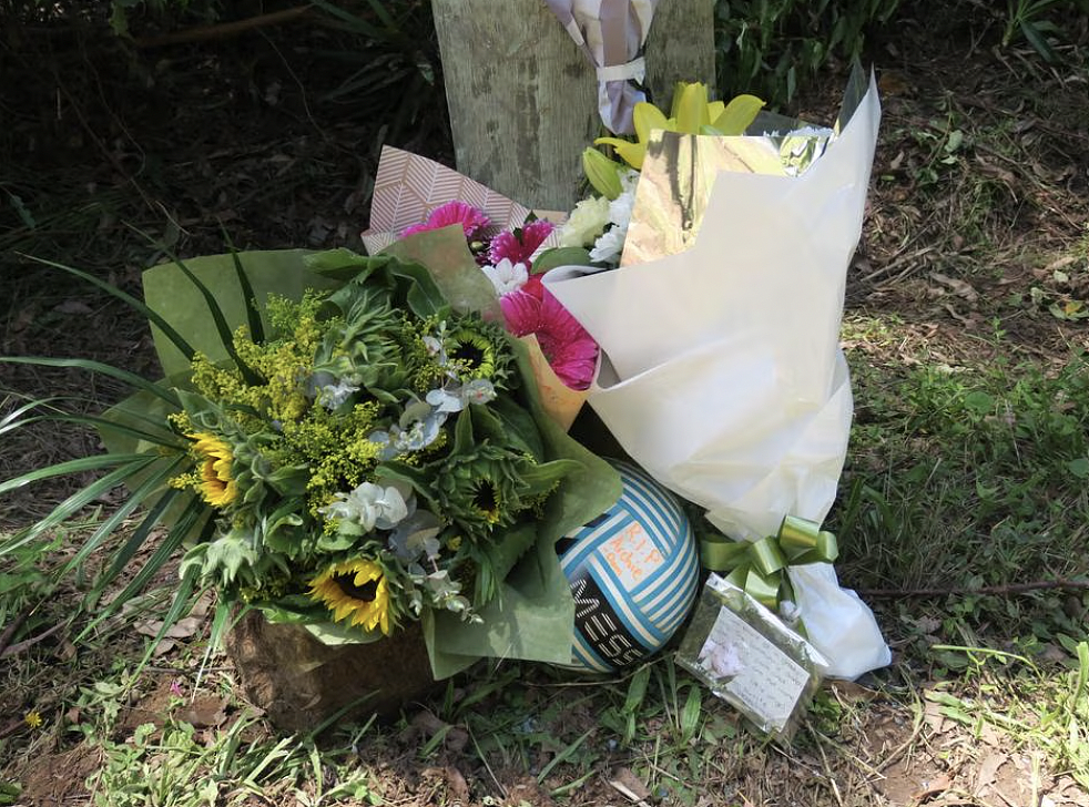 新州市议会因道路安全缺陷致一死一重伤，面临数百万澳元赔偿（组图） - 4