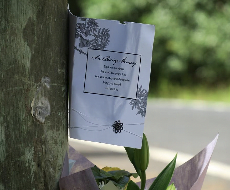 新州市议会因道路安全缺陷致一死一重伤，面临数百万澳元赔偿（组图） - 5