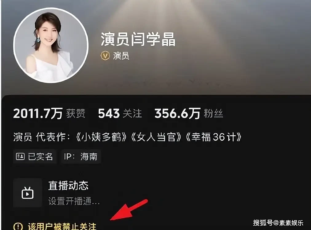 闫学晶被多个品牌解约,儿子林傲霏“新疆班”的学历也被调查(组图) - 14