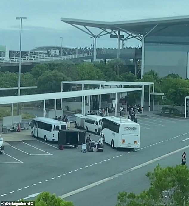 今早,布里斯班机场突发!大批旅客紧急疏散,现场乱作一团(组图) - 2