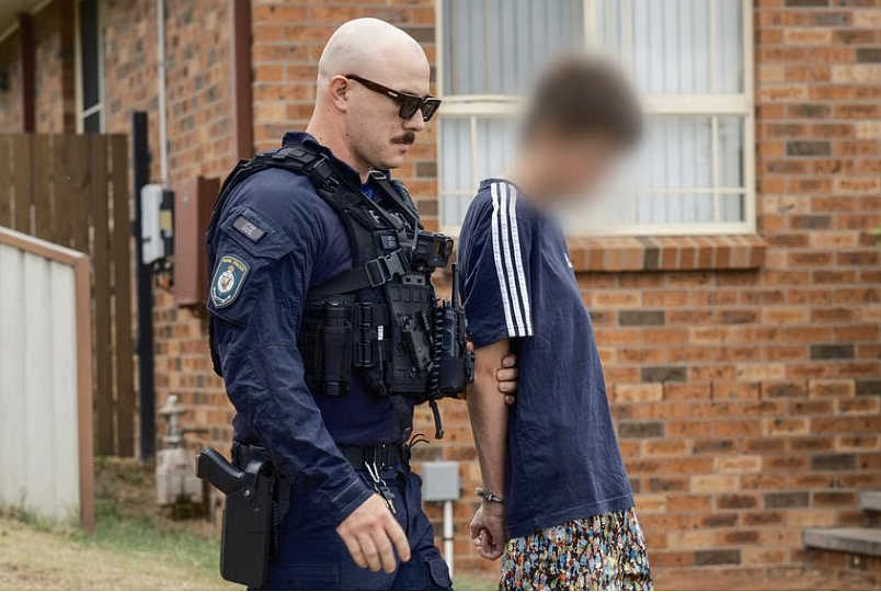 新州购物中心停车场发生刺伤案,两名18岁teenager被捕被控严重袭击(组图) - 3
