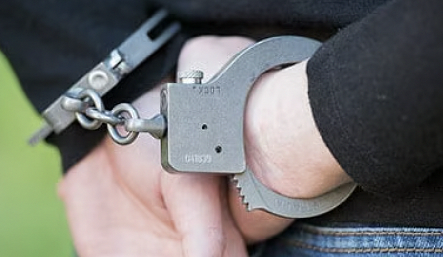 澳洲边境执法局严打儿童犯罪,年初逮捕17名涉嫌材料携带者(组图) - 4