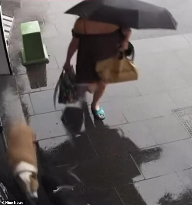悉尼闹市区井盖竟带电!女子遛狗时爱犬被当场电死(组图) - 1