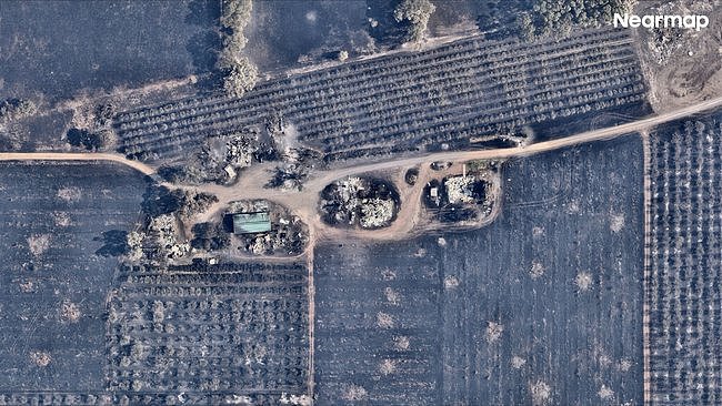 维州山火吞噬41万公顷土地!259栋房屋被焚毁,至少1人死亡(组图) - 3
