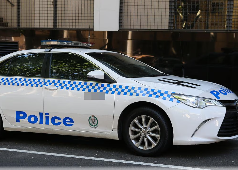 悉尼民宅深夜遭入室抢劫！歹徒开车逃跑撞伤警员（图） - 2