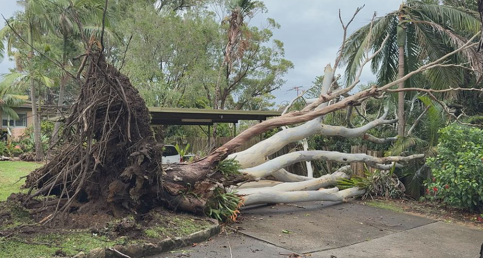 狂风暴雨席卷悉尼,多地开启“看海”模式!华人区道路封闭,山体滑坡险冲毁民宅(组图) - 4