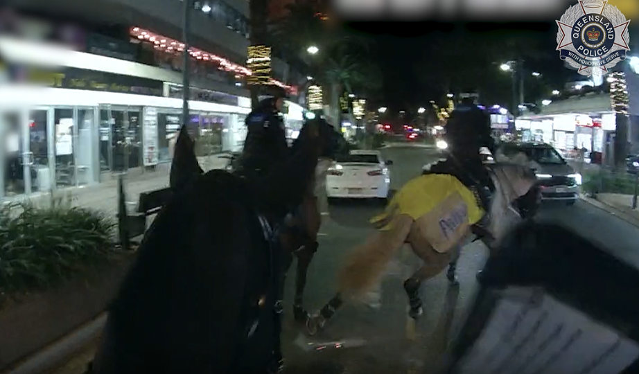 摩托车冲撞警方巡逻队酿祸，澳肇事骑手被控酒驾及伤害警马罪（图） - 2