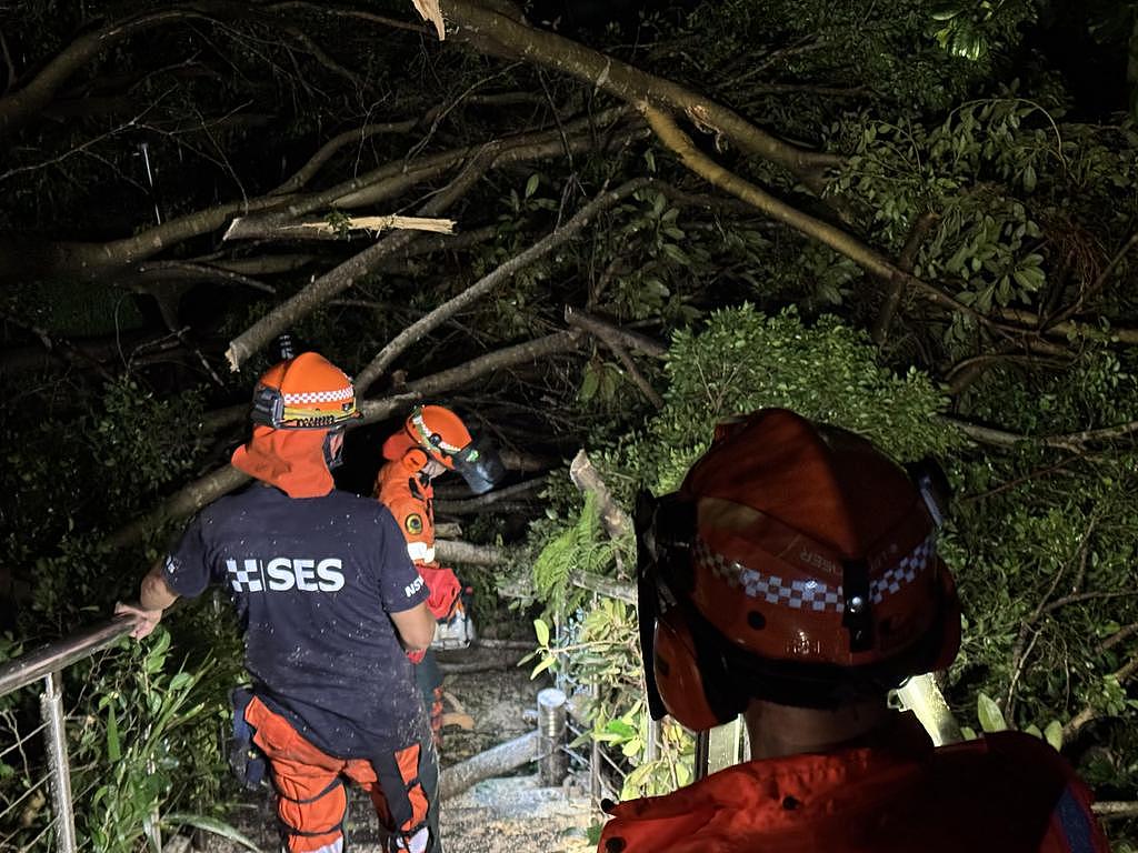 1200名志愿者彻夜出动！悉尼强降雨后开启大清理，本周迎晴好天气（组图） - 4