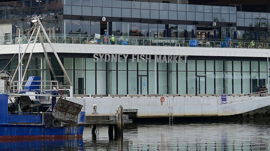 悉尼新鱼市场正式开门迎客！营业时间延长至10点，年均客流或翻倍（组图） - 1
