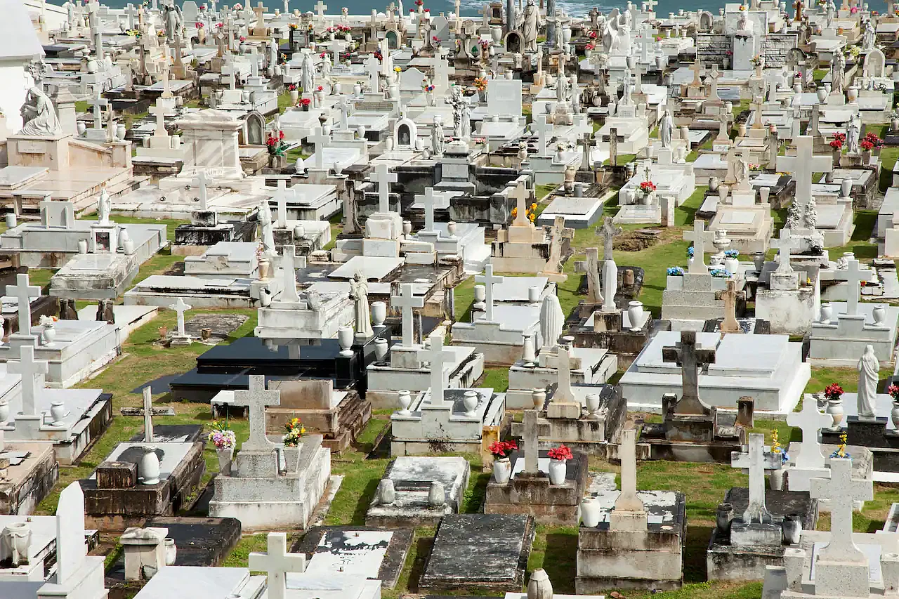 澳洲进入“死亡高峰期”，殡葬费涨至$1.1万！墓地空间告急，水葬、竖葬兴起（组图） - 7
