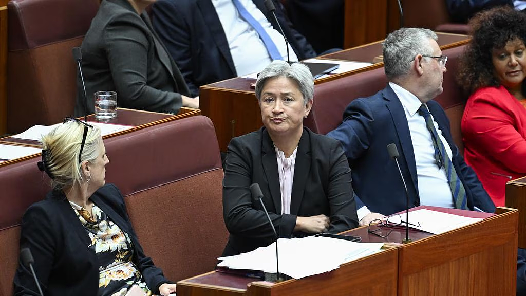 两大法案获得通过！澳政府将打击仇恨主义，严控枪支（组图） - 5