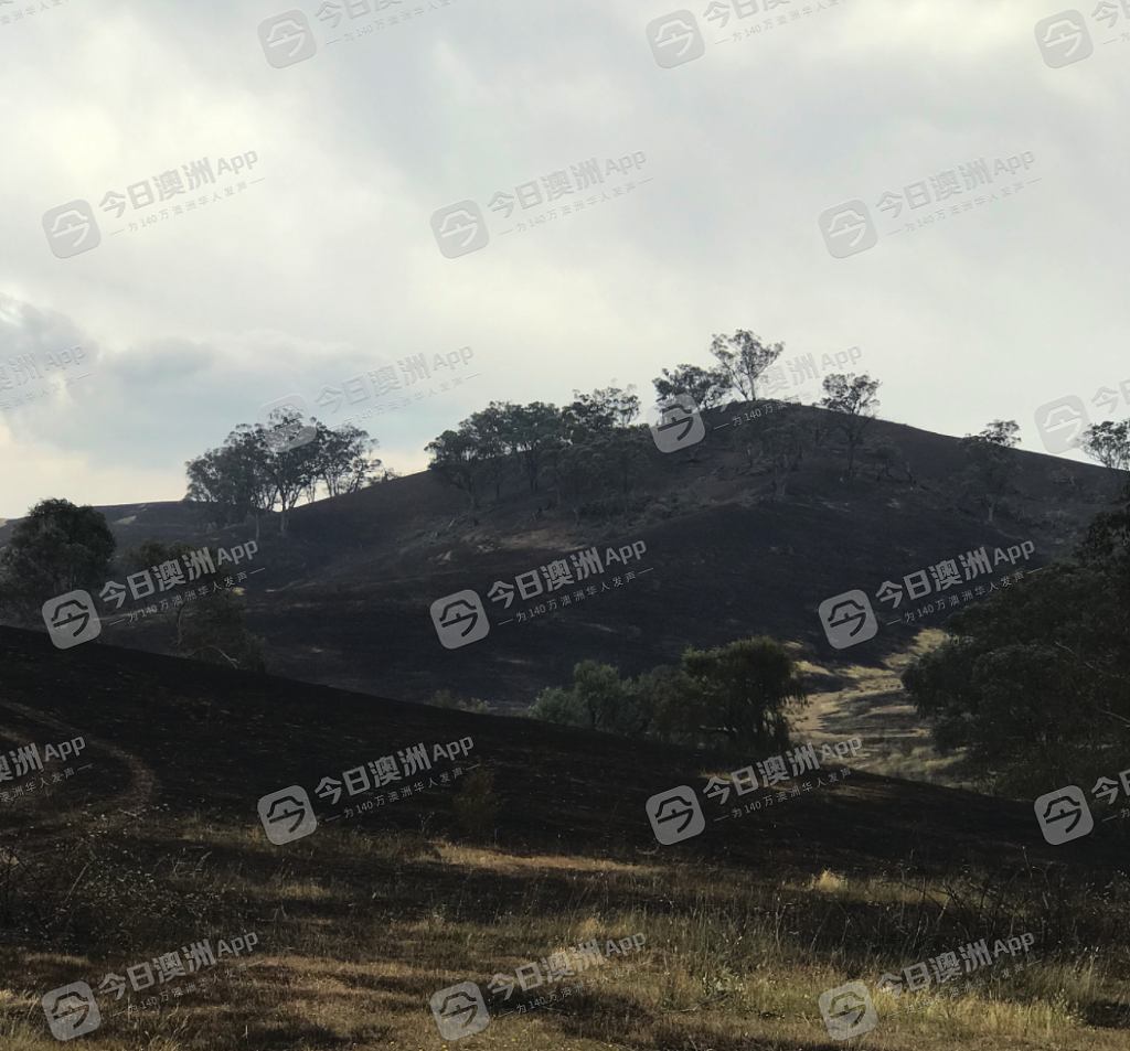 “人生中最难过的一天”,华女亲历维州山火“一夜归零”,在澳华人慷慨捐资,“我终于支棱起来”(组图/视频) - 2