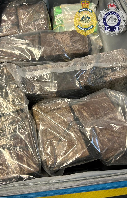 3人携带“观音王”茶叶入境澳洲被拦，恐判终身监禁！只因…（组图） - 3