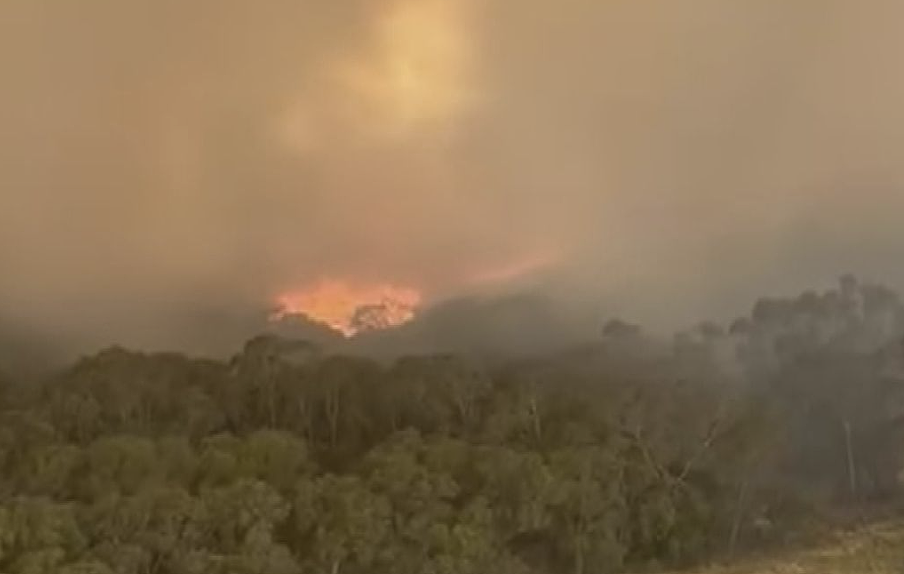 澳洲东南部遭极端热浪侵袭，多地气温逼近50摄氏度，林火风险加剧（组图） - 3