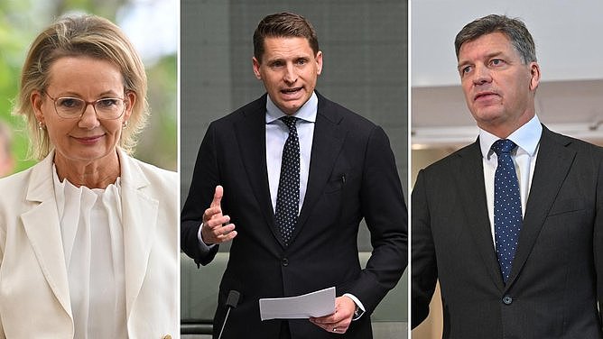 澳反对党领袖深陷逼宫危机,Sussan Ley坚称绝不下台(图) - 1