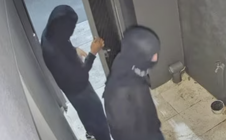悉尼发生连环入室盗窃，蒙面男子持弯刀深夜闯入民宅（组图） - 2