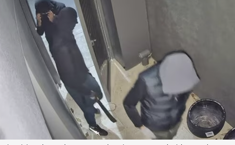 悉尼发生连环入室盗窃，蒙面男子持弯刀深夜闯入民宅（组图） - 3