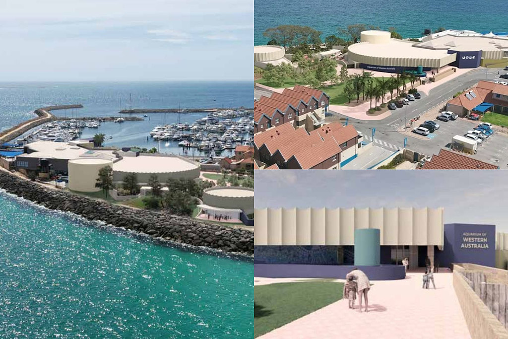 珀斯人气海洋馆拟投1300万扩建新体验区，新增剧院和鲨鱼展区（图） - 2