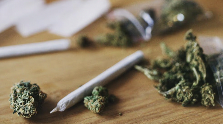报警抓贼却暴露毒窝！新州男子藏毒被女友意外揭发，面临多项贩毒指控（组图） - 2