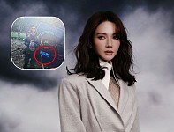 金晨被曝肇事逃逸让助理顶缸，律师解读（视频/图）