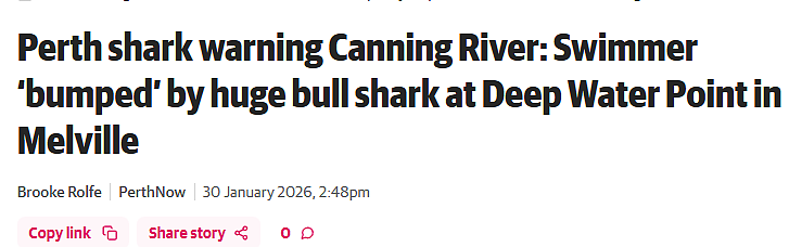 珀斯Canning河现3.5米巨型牛鲨，游泳者遭袭击（图） - 1
