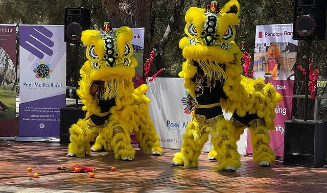 舞狮、灯笼、折纸齐聚!西澳迎来中国新年庆祝活动(组图) - 3