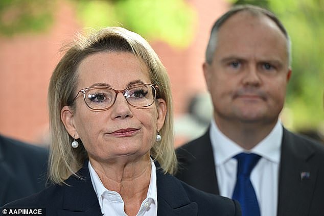 自由党议员演讲全程避谈党魁Sussan Ley!强调深化与美英国防关系(组图) - 3