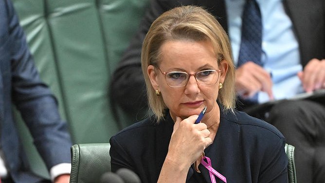 澳洲政坛巨震!联盟党恐永久性分裂,前总理或紧急介入调停(图) - 1