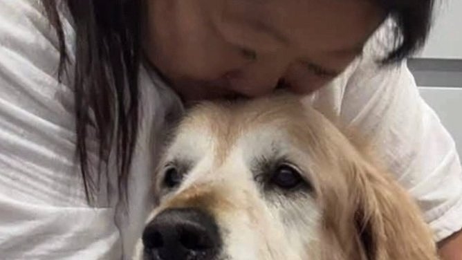 “我的心碎了！”澳知名美食博主悼爱犬Dozer离世引千万粉丝泪崩（视频/组图） - 1