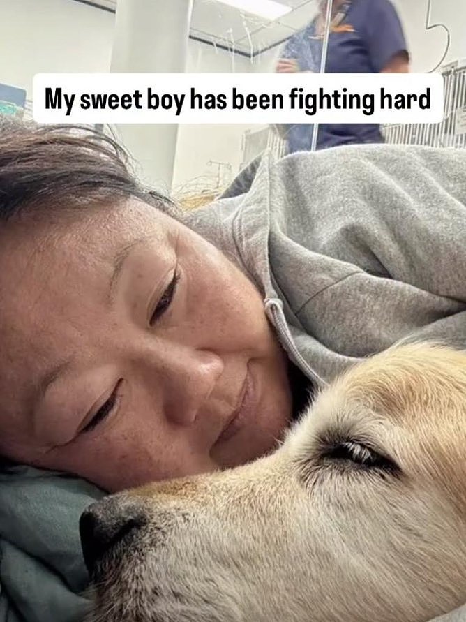 “我的心碎了！”澳知名美食博主悼爱犬Dozer离世引千万粉丝泪崩（视频/组图） - 2