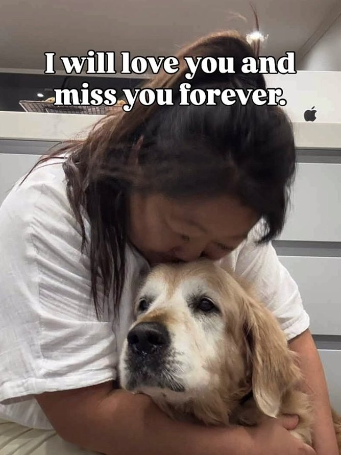 “我的心碎了！”澳知名美食博主悼爱犬Dozer离世引千万粉丝泪崩（视频/组图） - 3