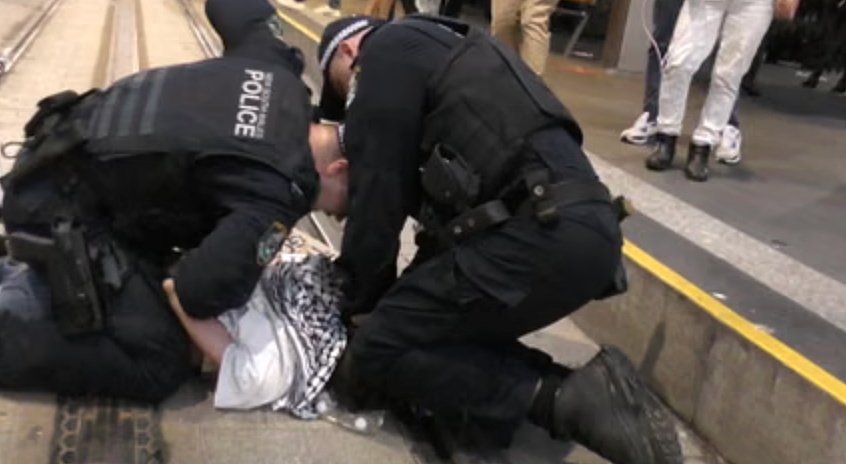 27人被捕！悉尼亲巴抗议爆发激烈冲突，警方被指暴力执法（组图） - 1