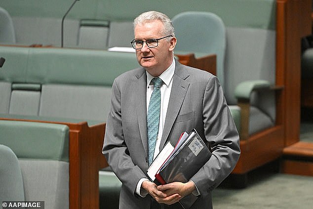 Bondi恐袭后，工党仍允许IS新娘自行回澳！反对党狠批（组图） - 3