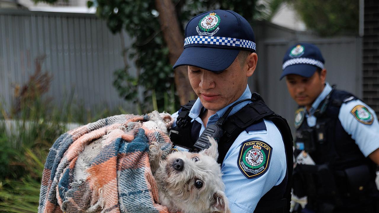 疑电动自行车充电起火，悉尼Auburn夫妇跳阳台！狗狗幸运生还（组图） - 1